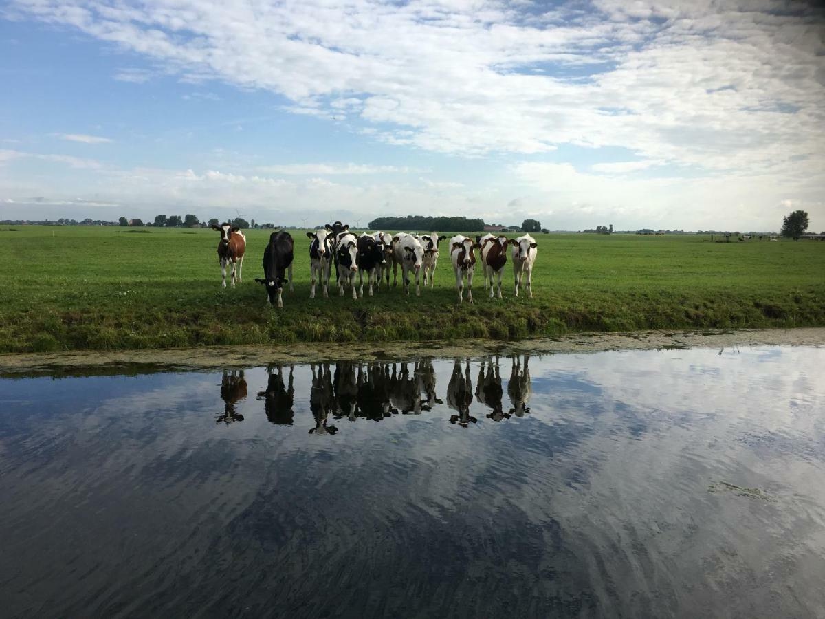 Vakantiehuis Het Voorhuis Op Landgoed Koepeltjesplaats Gaast ภายนอก รูปภาพ