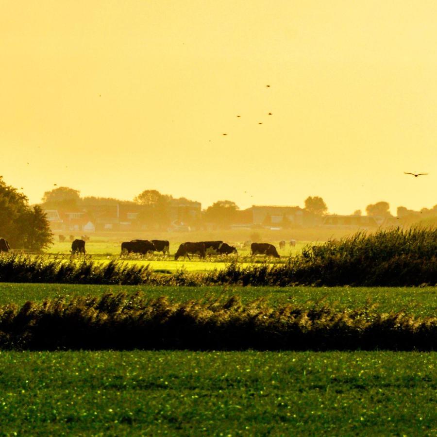 Vakantiehuis Het Voorhuis Op Landgoed Koepeltjesplaats Gaast ภายนอก รูปภาพ