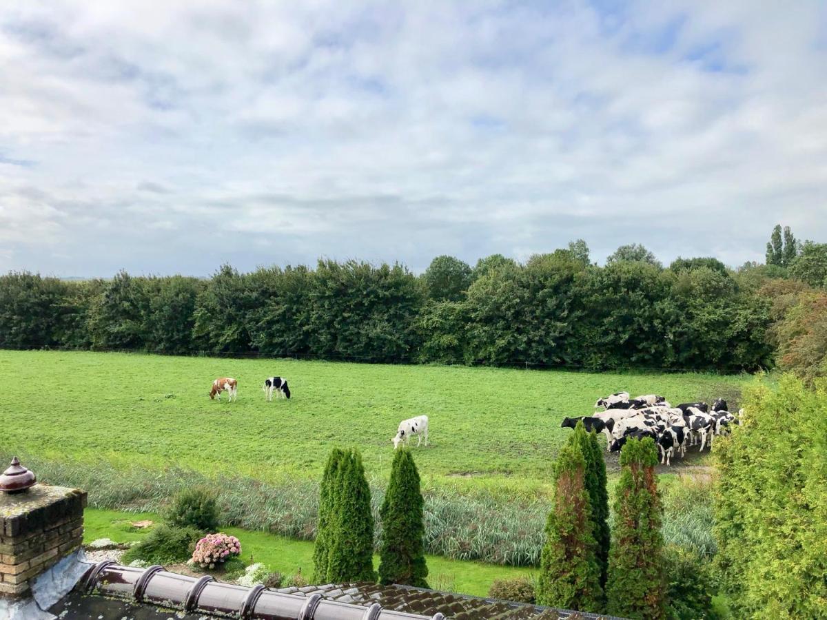 Vakantiehuis Het Voorhuis Op Landgoed Koepeltjesplaats Gaast ภายนอก รูปภาพ